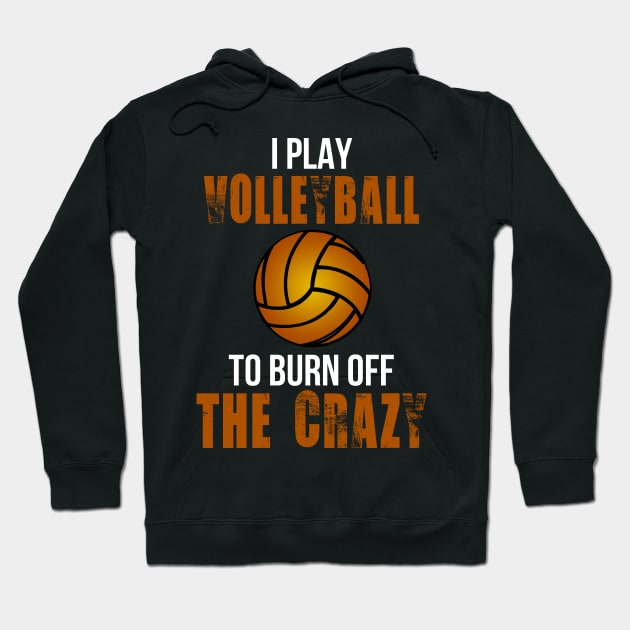 I Play Volleyball To Burn Off The Crazy Hoodie by schaefersialice